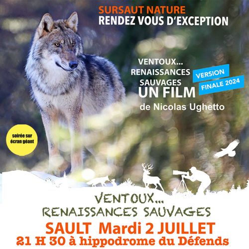 Cinéma "Sursaut Nature" de Nicolas Ughetto : "Ventoux...Renaissances... Du 2 au 23 juil 2024