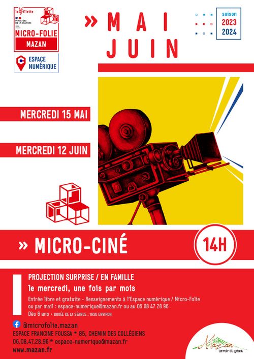Espace Numérique / Micro-Ciné Du 15 mai au 12 juin 2024